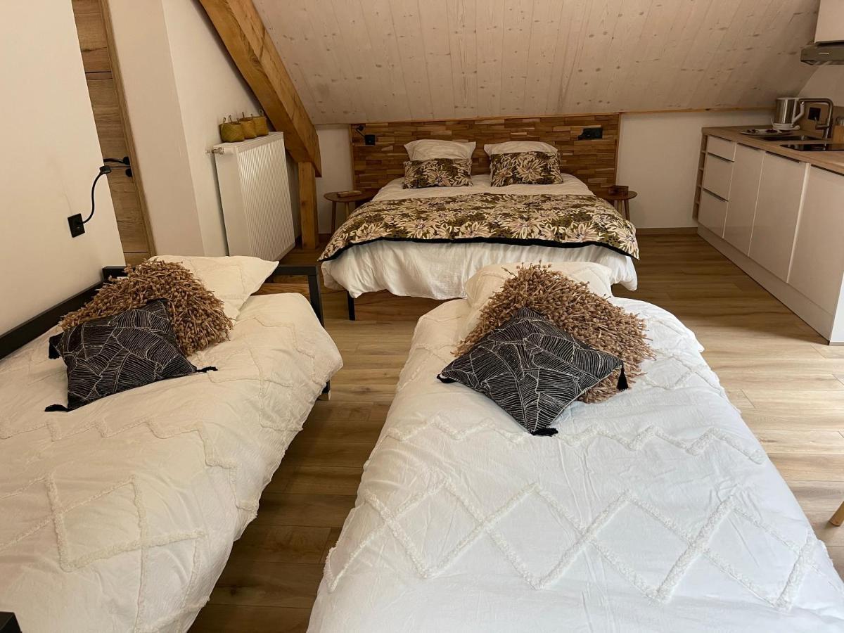 ألبيز-مونتروند Chambres D'Hotes Les Chambres D'Elsa المظهر الخارجي الصورة
